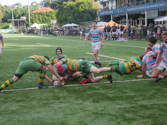 Volume 4: A Perfect Day on Petrie Paddock