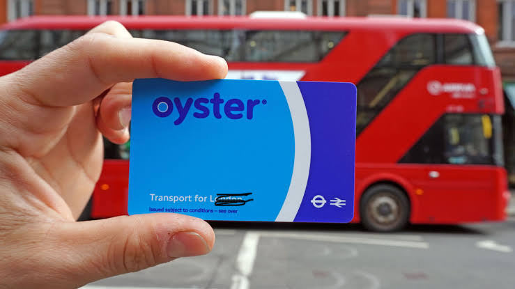 Oysters v Sea Lice